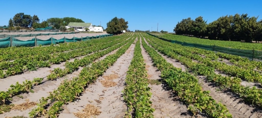 3 Bedroom Property for Sale in Hopefield Rural Western Cape